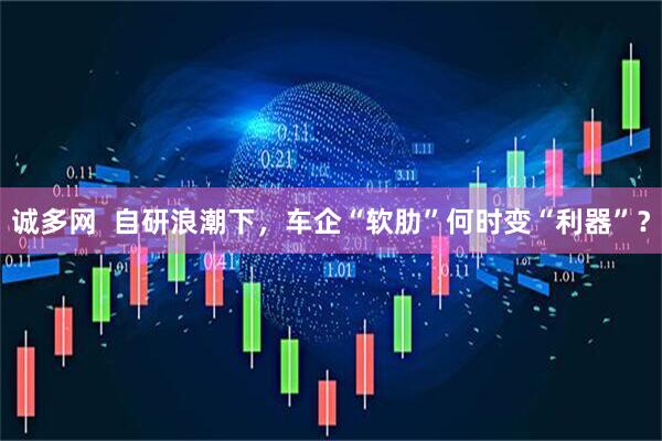 诚多网  自研浪潮下，车企“软肋”何时变“利器”？