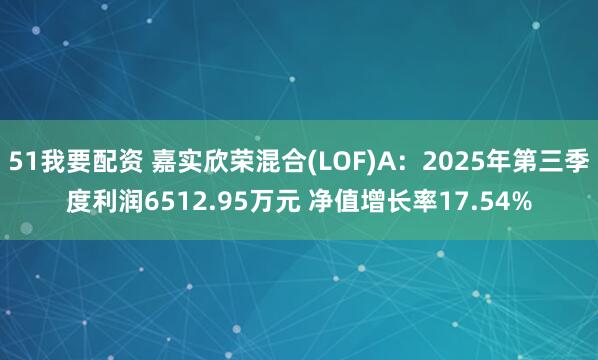 51我要配资 嘉实欣荣混合(LOF)A：2025年第三季度利润6512.95万元 净值增长率17.54%