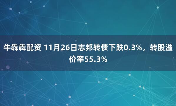 牛犇犇配资 11月26日志邦转债下跌0.3%，转股溢价率55.3%